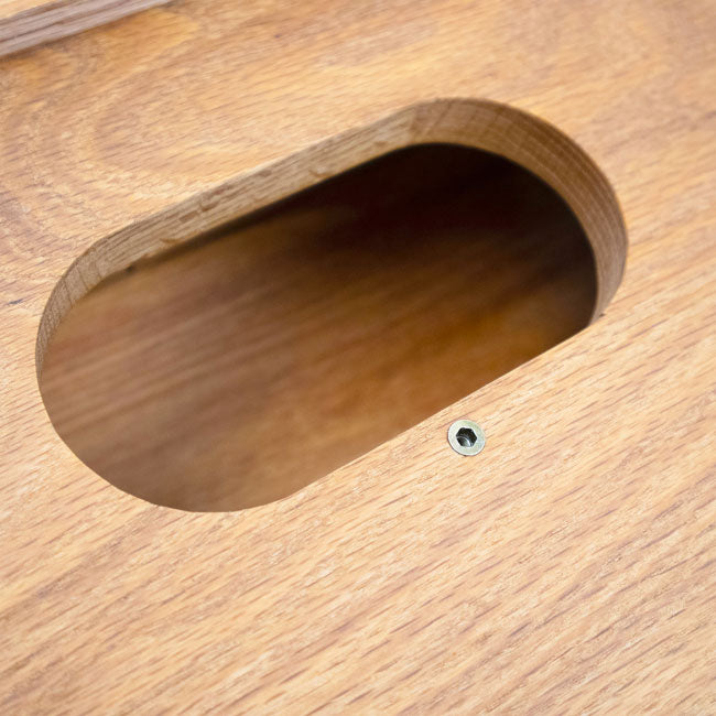 Coveside Panoramic In-House Bird Feeder with Mirrored Back