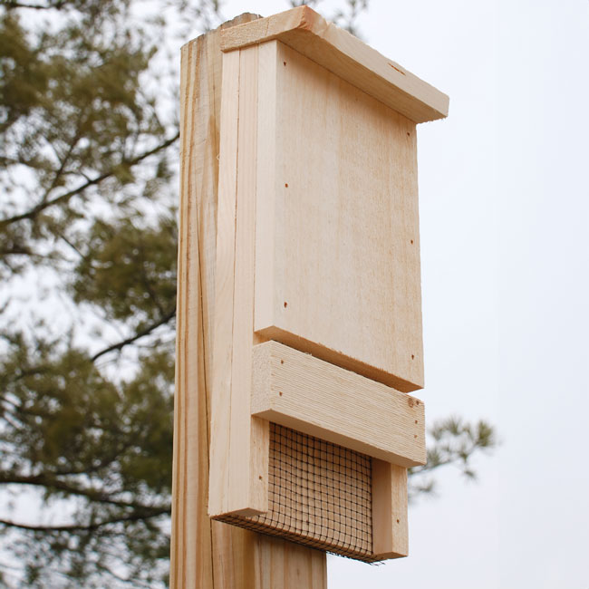 Coveside Bat House Kit, 12 bats