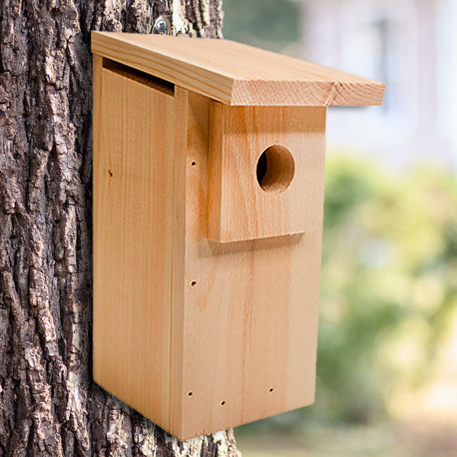 Coveside Eastern Bluebird House DIY Kit