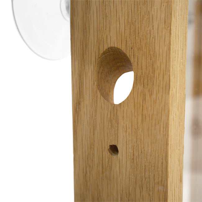 Coveside Six Port Window Bird Feeder