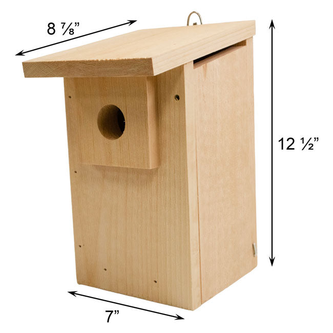 Coveside Basic Western Bluebird Trail Box