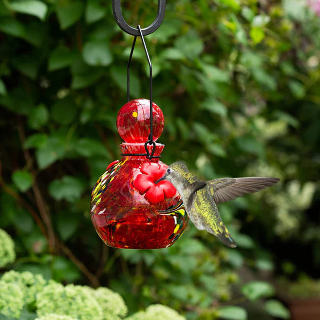 Echo Valley LunaLite Hummingbird Feeder Set, Red & Aqua