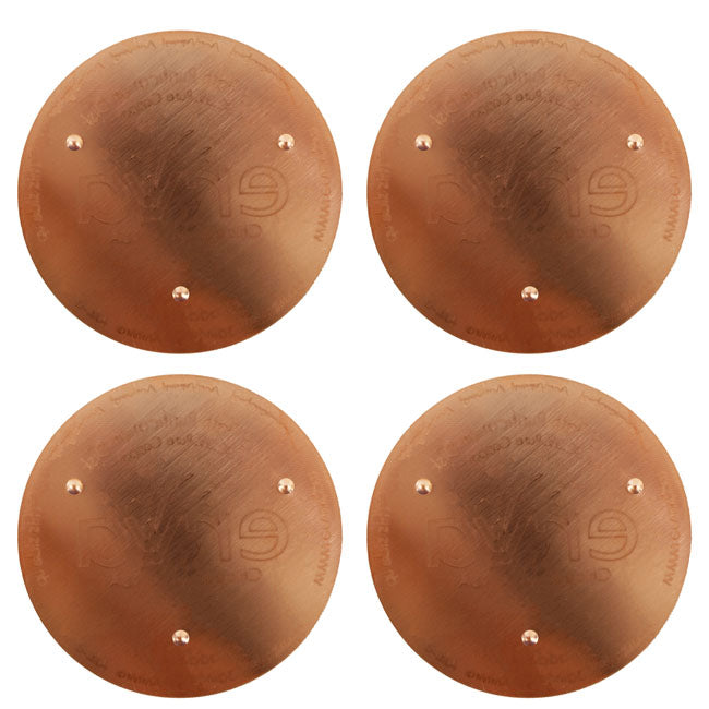 Erva Bird Bath Purification Disks, Copper, Pack of 4