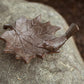 Esschert Design Maple Leaf Bird Baths, Brown, Pack of 2