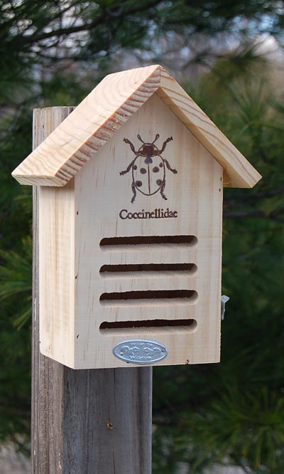 Esschert Design Insect House Package