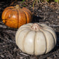 Artisanal Squash Pumpkin Statues, Pack of 2