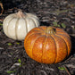 Artisanal Squash Pumpkin Statues, Pack of 2