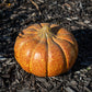 Artisanal Squash Pumpkin Statues, Pack of 2