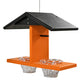 Recycled Plastic Double Oriole Feeder with Jelly Kit