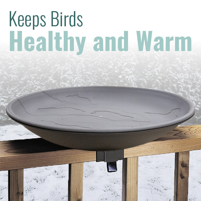 Wild Bird Lover's Heated Bird Bath w/Deck Rail Brackets, 20"
