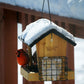 Nature's Way Cedar Hopper Bird Feeder w/Seed & Suet Kit