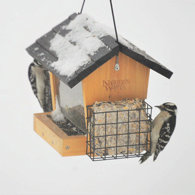 Nature's Way Cedar Hopper Bird Feeder w/Seed & Suet Kit