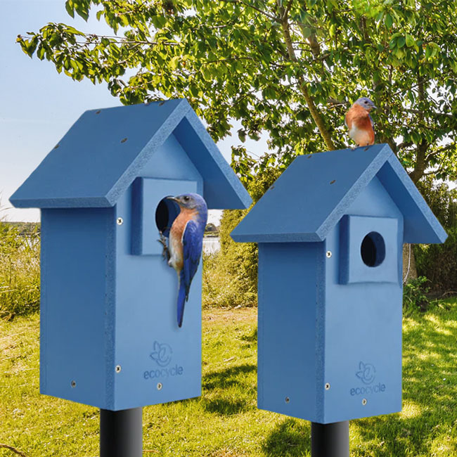 Nature's Way Recycled Plastic Bluebird Bungalows, Pack of 2