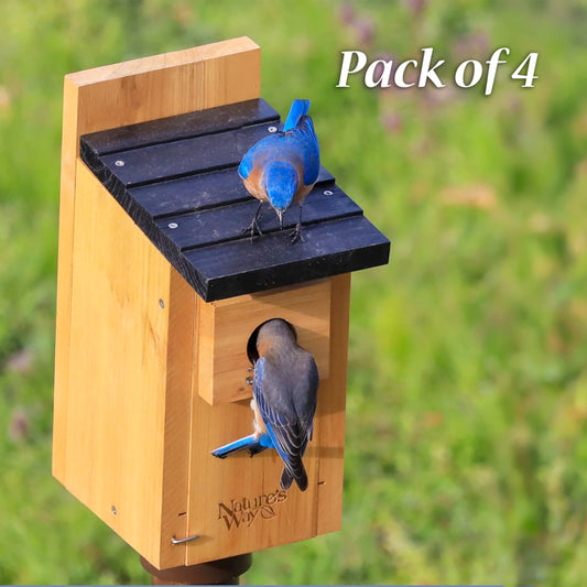 Nature's Way Cedar Bluebird Box House, Pack of 4