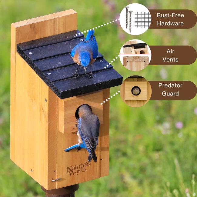 Nature's Way Cedar Bluebird Box House, Pack of 4