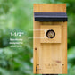 Nature's Way Cedar Bluebird Box House, Pack of 4