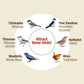 Nature's Way Cedar Bluebird Box House, Pack of 4