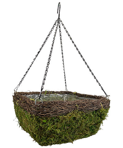 Panacea Wicker & Moss Square Hanging Basket, Grn/Brn, 14"L