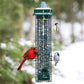 Squirrel Buster Classic Bird Feeder with Branch Hook Kit