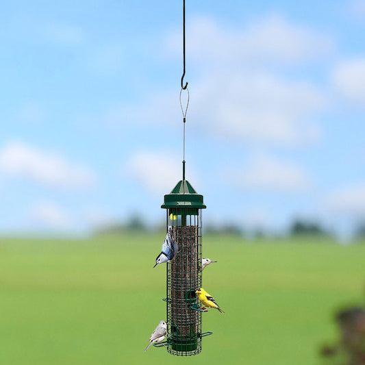 Squirrel Buster Classic Bird Feeder with Branch Hook Kit