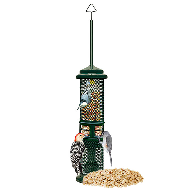 Brome Squirrel Buster Nut Feeder with Peanut Splits Package