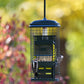 Brome Squirrel Buster Suet Feeder & Peanut Butter Suet Cakes