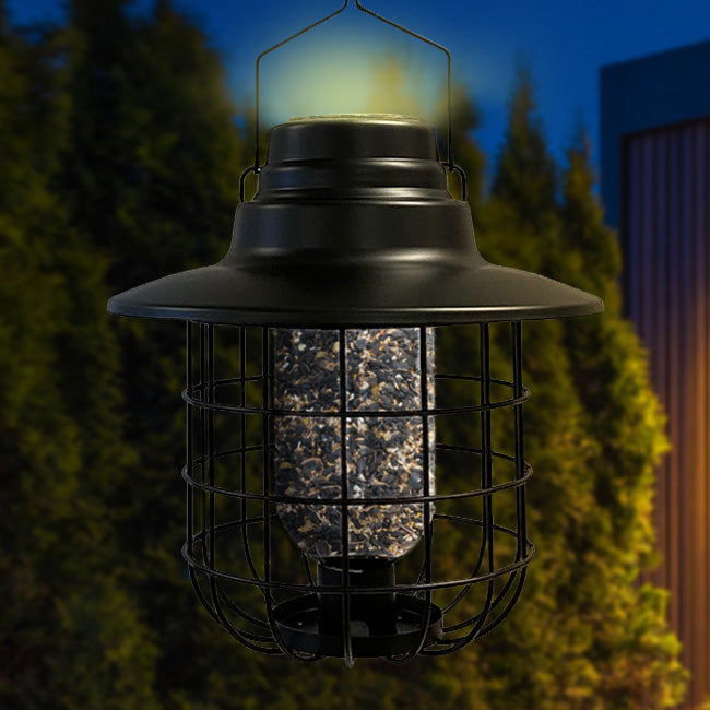 Modern Farmhouse Caged Bird Feeder & Solar Light w/ Seed Kit