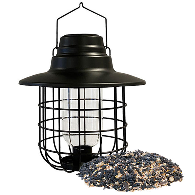 Modern Farmhouse Caged Bird Feeder & Solar Light w/ Seed Kit