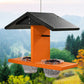Recycled Plastic Double Oriole Feeder with Jelly Kit