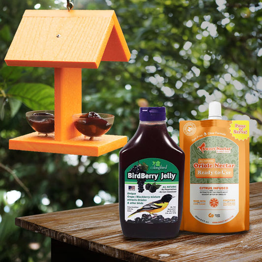 Going Green Oriole Feeder w/Jelly & Nectar by Prime Retreat