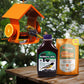 Metal Six Station Oriole Feeder with Nectar and Jelly Kit