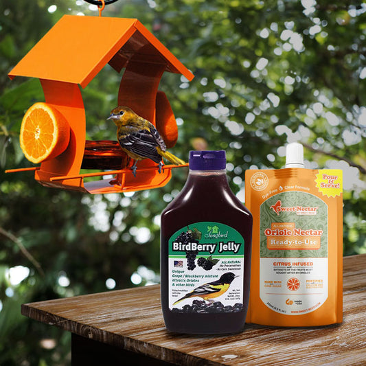 Metal Six Station Oriole Feeder with Nectar and Jelly Kit