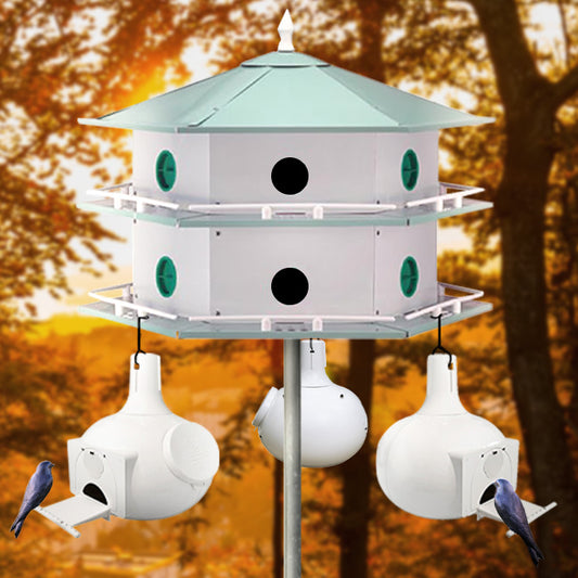 12-Room Deluxe Purple Martin House & Bo 11 Gourds Package