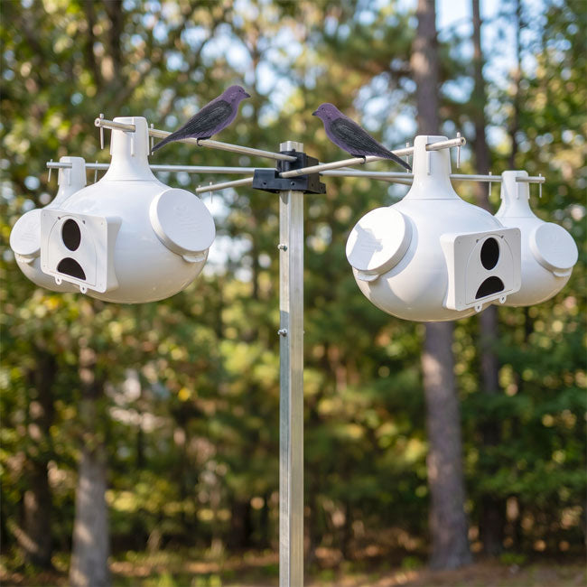 Bo Eleven Gourds with Hanging Rack and Pole Package
