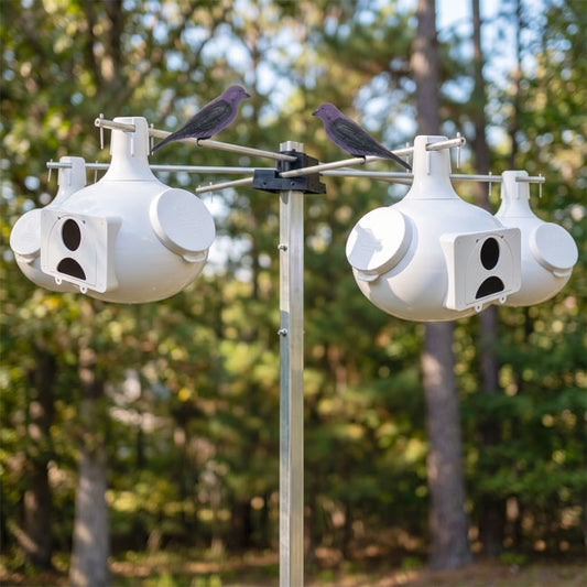 Bo Eleven Gourds with Hanging Rack and Pole Package