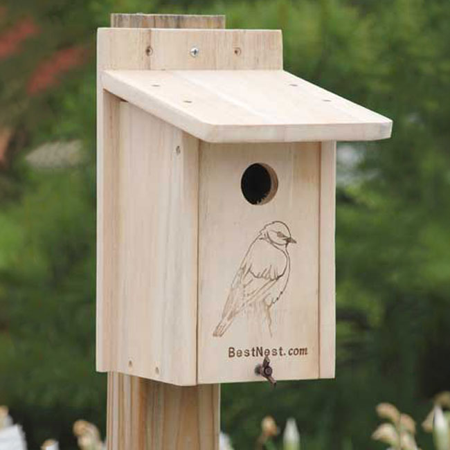 Seasonal Bluebird House and Pole Kit by Prime Retreat