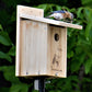 Seasonal Bluebird House and Pole Kit by Prime Retreat