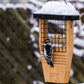 Cedar Suet Feeder w/Tail Prop & 12 Peanut Butter Suet Cakes