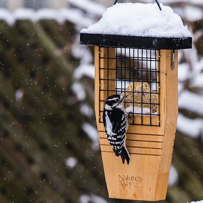 Cedar Suet Feeder w/Tail Prop & 12 Peanut Butter Suet Cakes