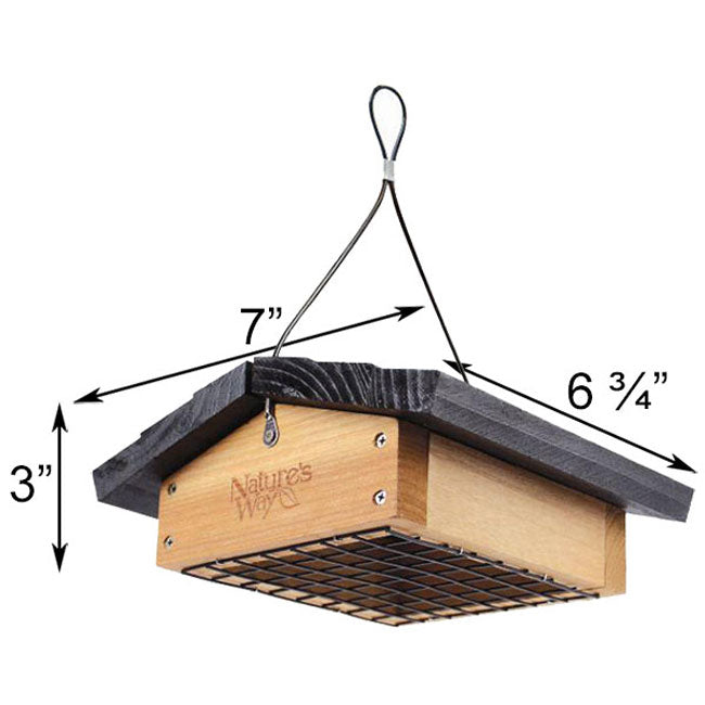 Upside-Down Suet Feeder with 12 Peanut Butter Suet Cakes