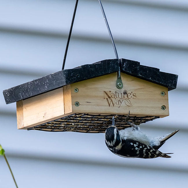 Upside-Down Suet Feeder with 12 Peanut Butter Suet Cakes