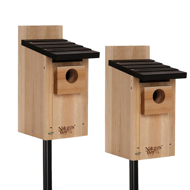 Traditional Cedar Bluebird Houses with Poles Package