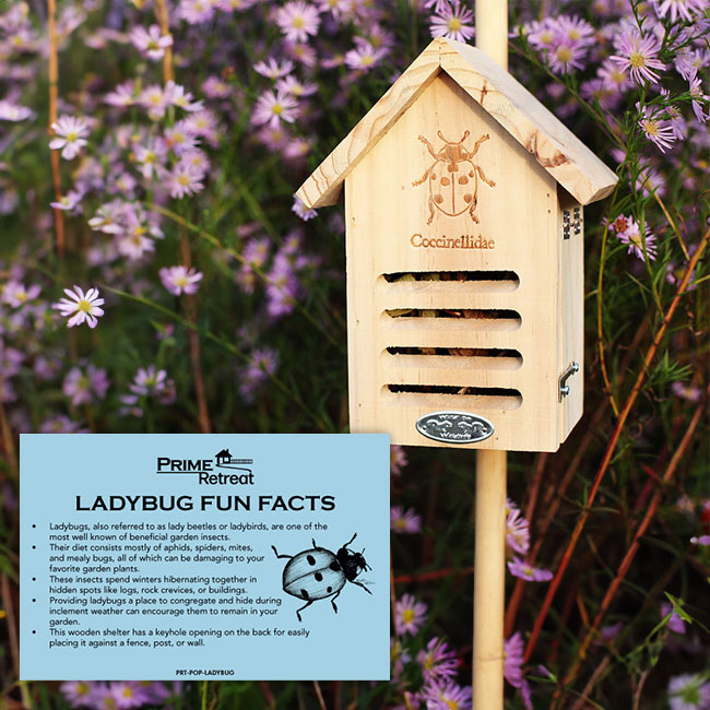 Basic Ladybug House Package by Prime Retreat – Prime Retreat Products