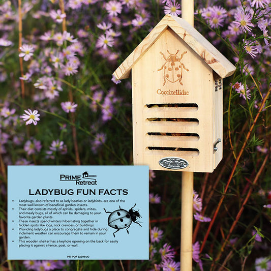 Basic Ladybug House Package by Prime Retreat