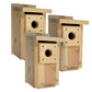 Pine Bluebird Nest Boxes w/Predator Guards by Prime Retreat