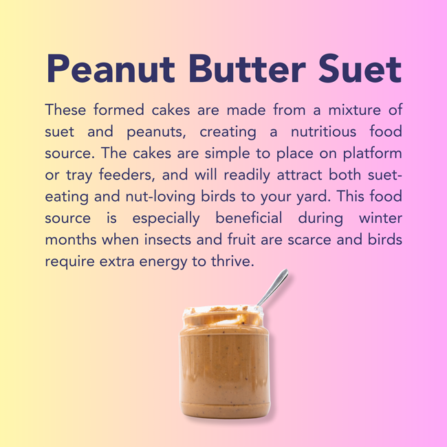 3-Month Suet Subscription, 8 Large Peanut Butter Suet Cakes