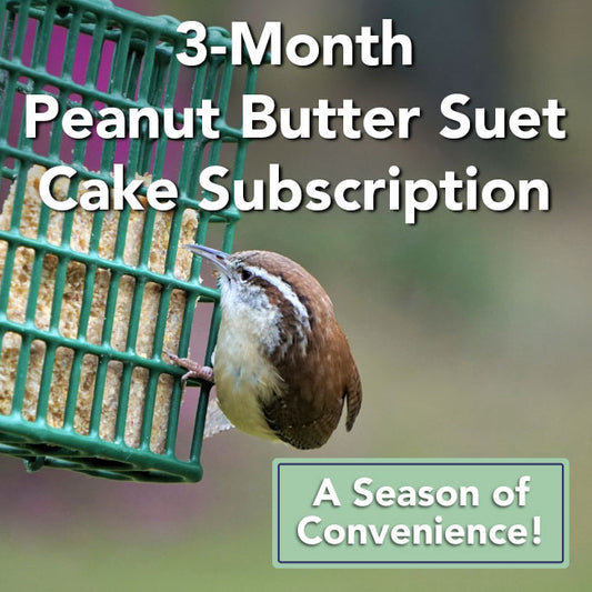 3-Month Suet Subscription, 12 Peanut Butter Suet Cakes