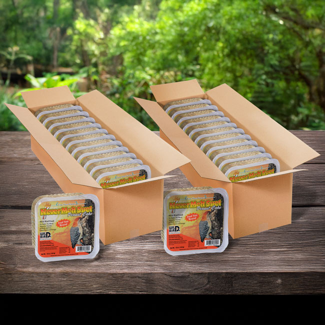 Pine Tree Never Melt Peanut Suet Cakes, 12 oz., Pack of 24