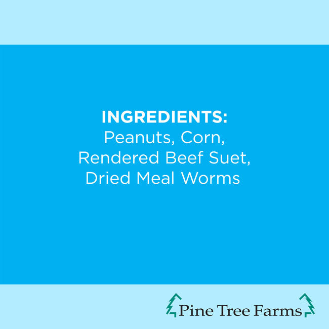 Pine Tree Never Melt Insect Suet Cakes, 12 oz., 24 Cakes