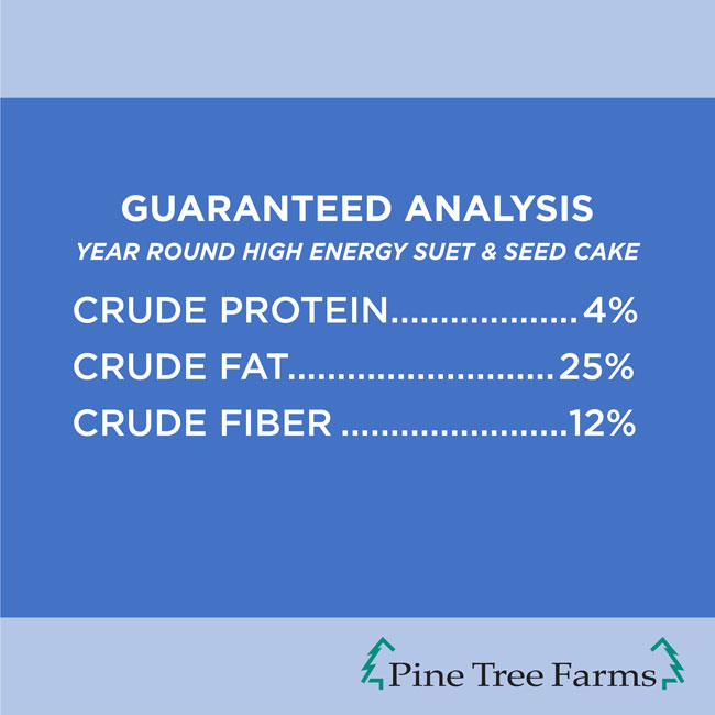 Pine Tree Year Round Hi-Energy Suet Cakes, 11 oz., 24 Pack
